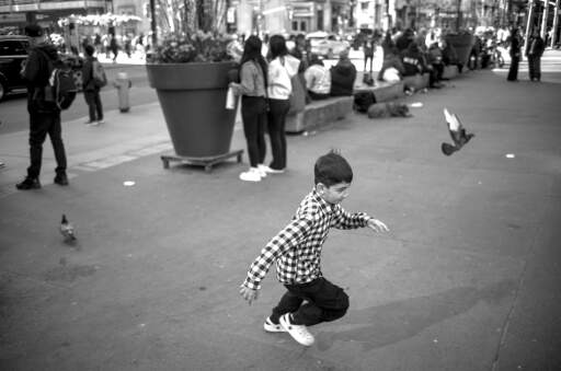I took this street picture in Toronto using my usual style for street photography. I found it interesting because of the motion of the three subjects and the relationship it creates between the boy and the two birds. The relationship that it establishes between the boy and the two birds.